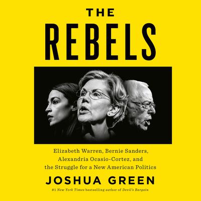 Untitled on American Politics