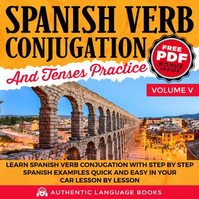 Spanish Verb Conjugation And Tenses Practice Volume V