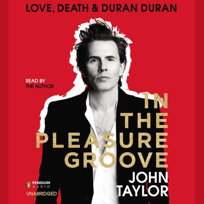 In the Pleasure Groove