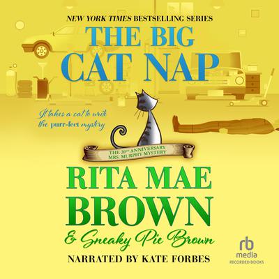 The Big Cat Nap
