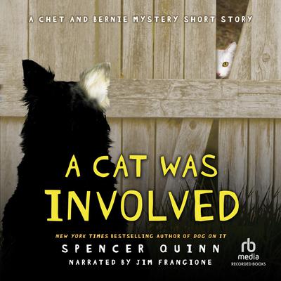 A Cat Was Involved