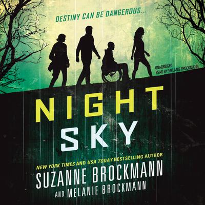 Night Sky