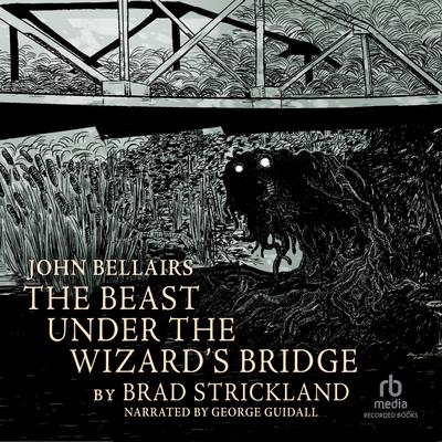 The Beast Under the Wizard's Bridge