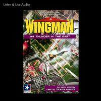 Wingman # 4 - Thunder In The East - Abridged