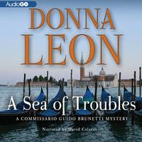 A Sea of Troubles