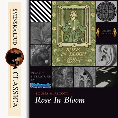 Rose in Bloom