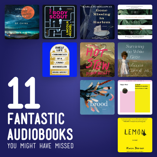 Playlist: Fantastic Audiobooks You Might Have Missed cover